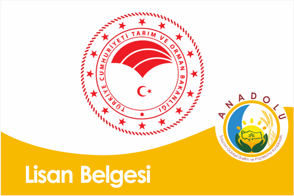 Lisans Belgesi